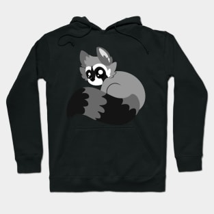 Raccoon Hoodie